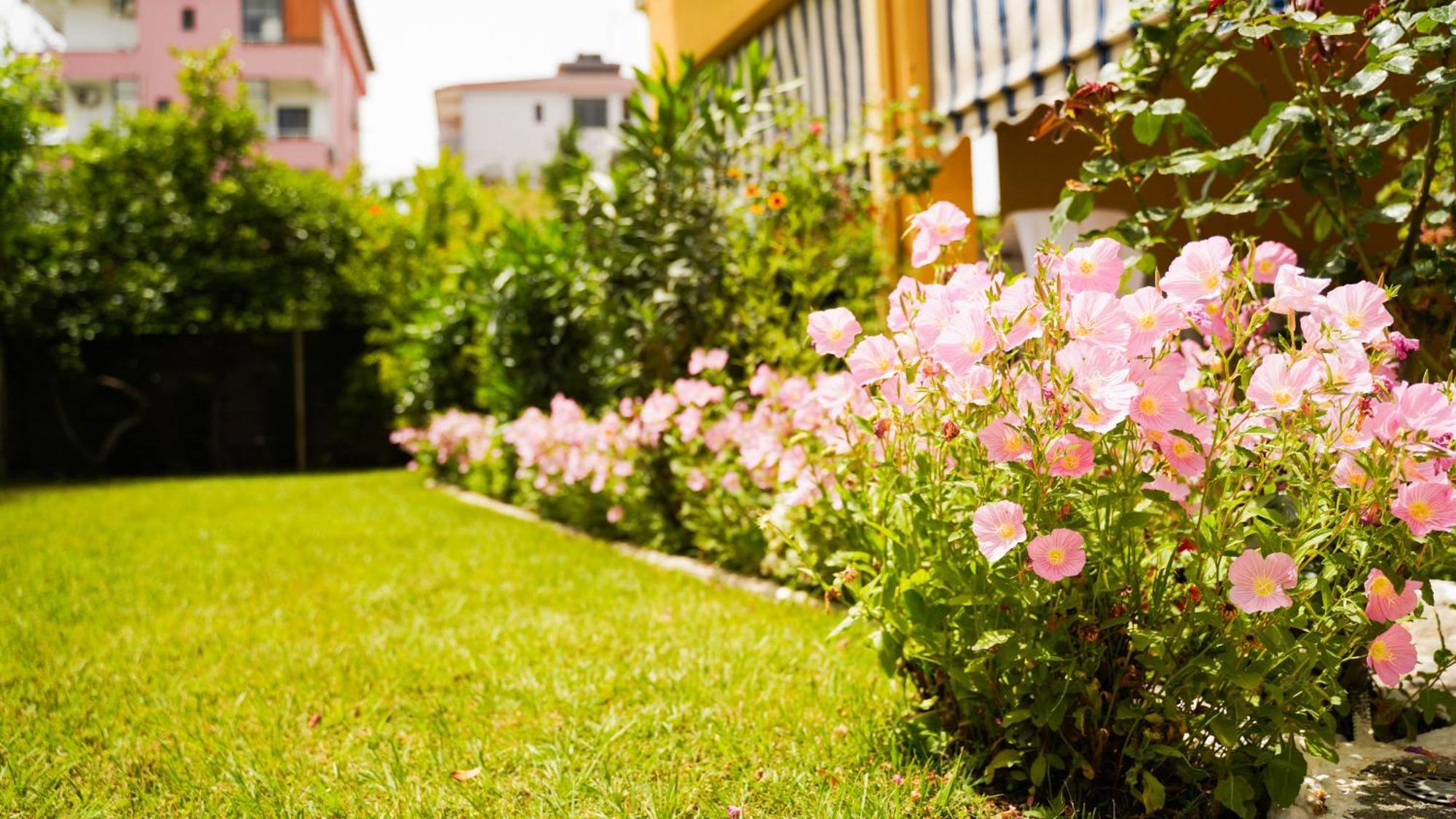 Vila Aliaj Luxury Apartment With 2 Rooms With Private Wonderful Terrace Дуррес Экстерьер фото